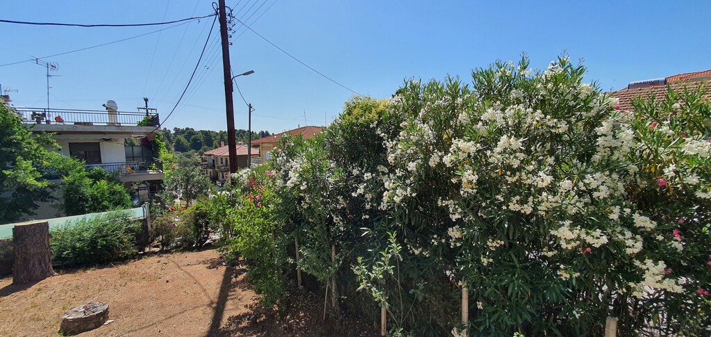 Casa en Sitonia, Grecia, 170 m² - imagen 8