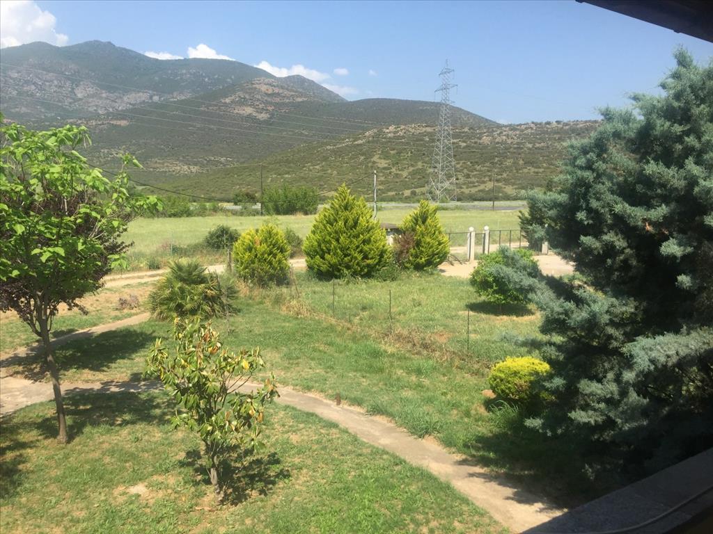 House in Chalkidiki, Greece, 180 m² - picture 8