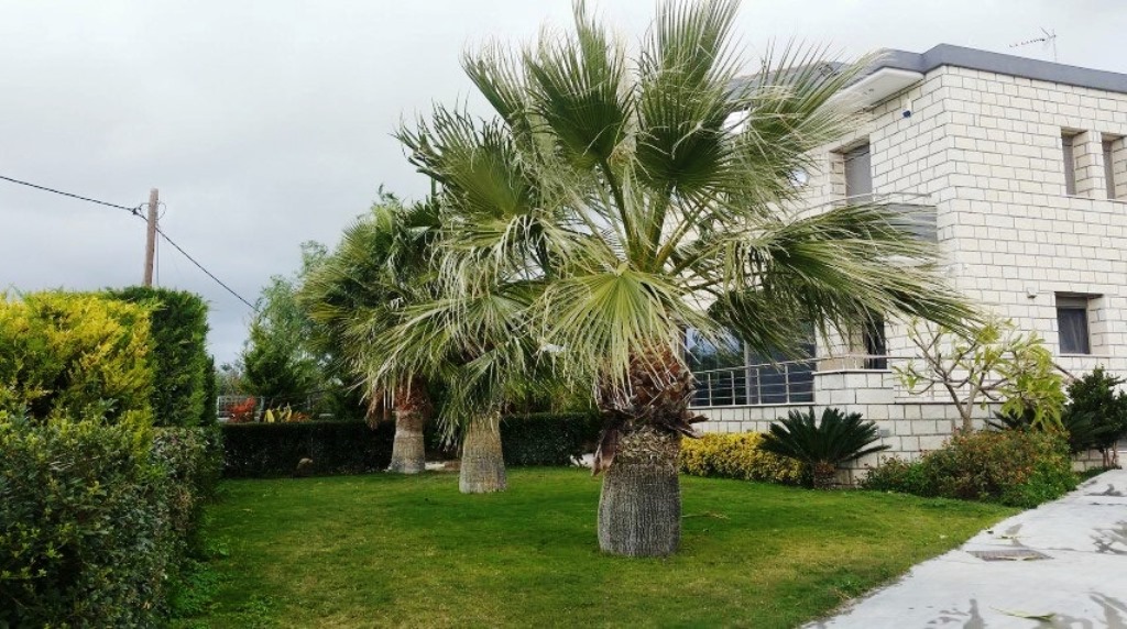 Casa en Heraclión, Grecia, 300 m² - imagen 8