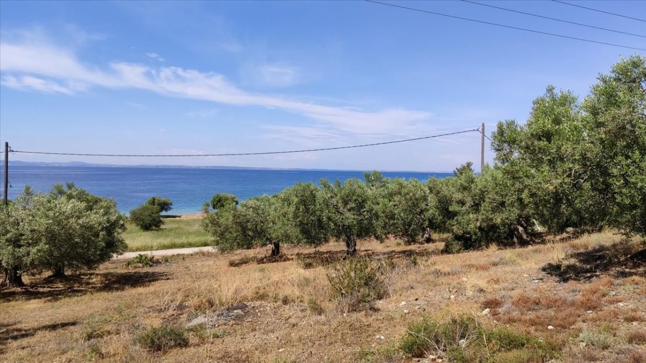 Land in Sithonia, Greece, 13 750 m² - picture 8