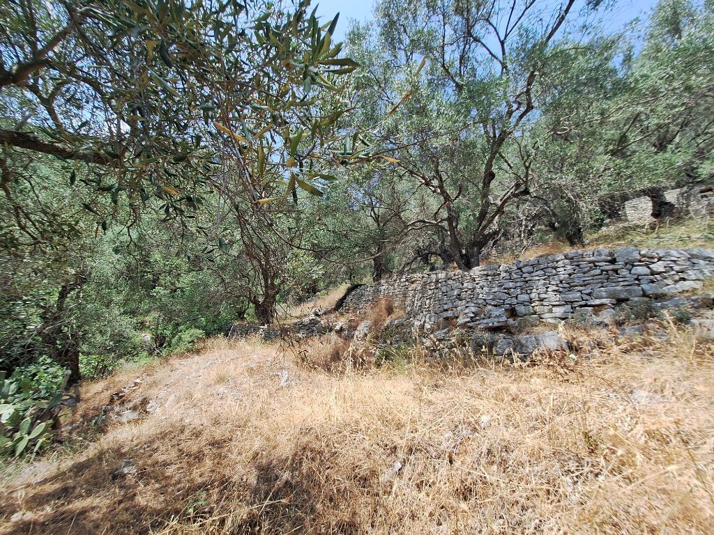 Terrain à Corfou, Grèce, 6 000 m² - image 8