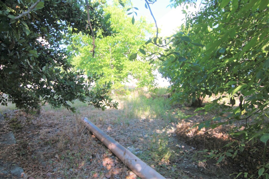 Land in Corfu, Greece, 1 342 m² - picture 8