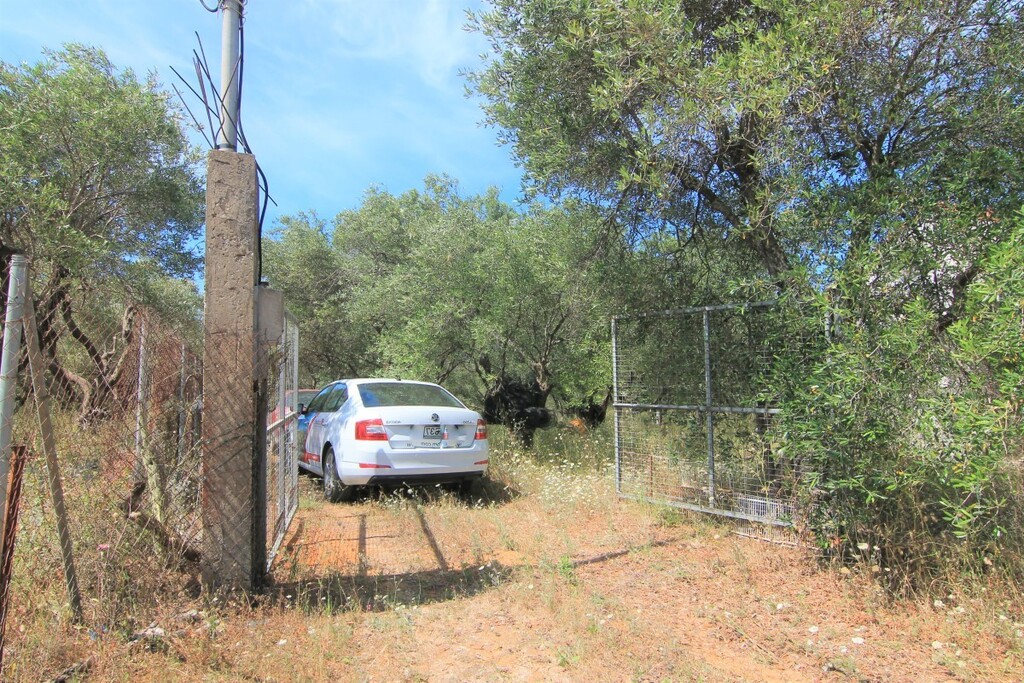Terreno en Corfú, Grecia, 10 000 m² - imagen 8