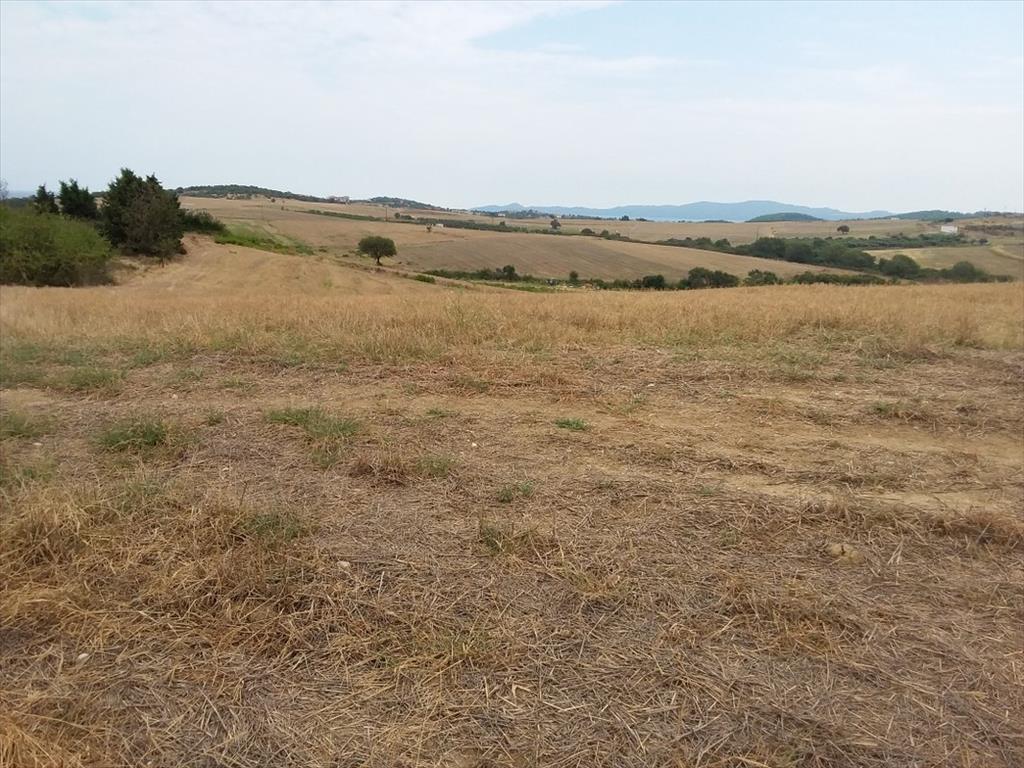 Grundstück in Chalkidiki, Griechenland, 13 000 m² - Foto 8