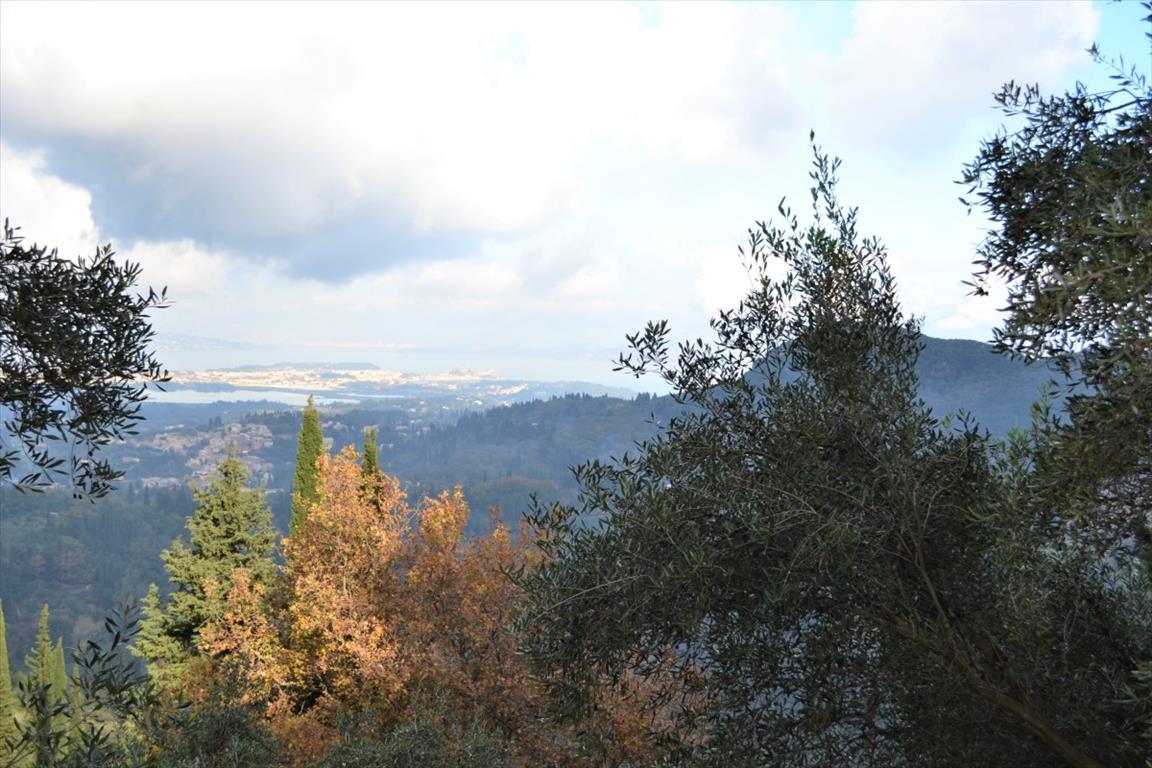 Land in Corfu, Greece, 4 420 m² - picture 8