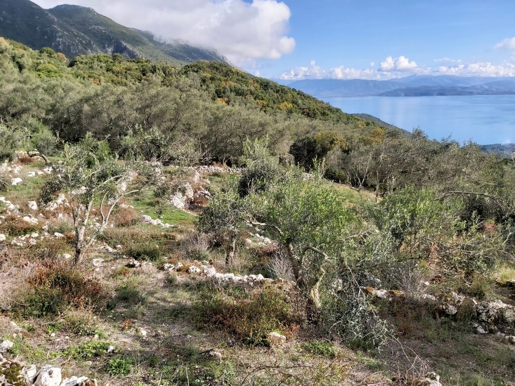 Grundstück in Korfu, Griechenland, 9 500 m² - Foto 8