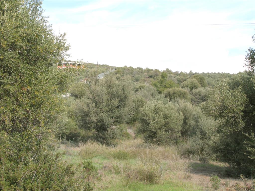 Terreno en Sitonia, Grecia, 13 244 m² - imagen 8