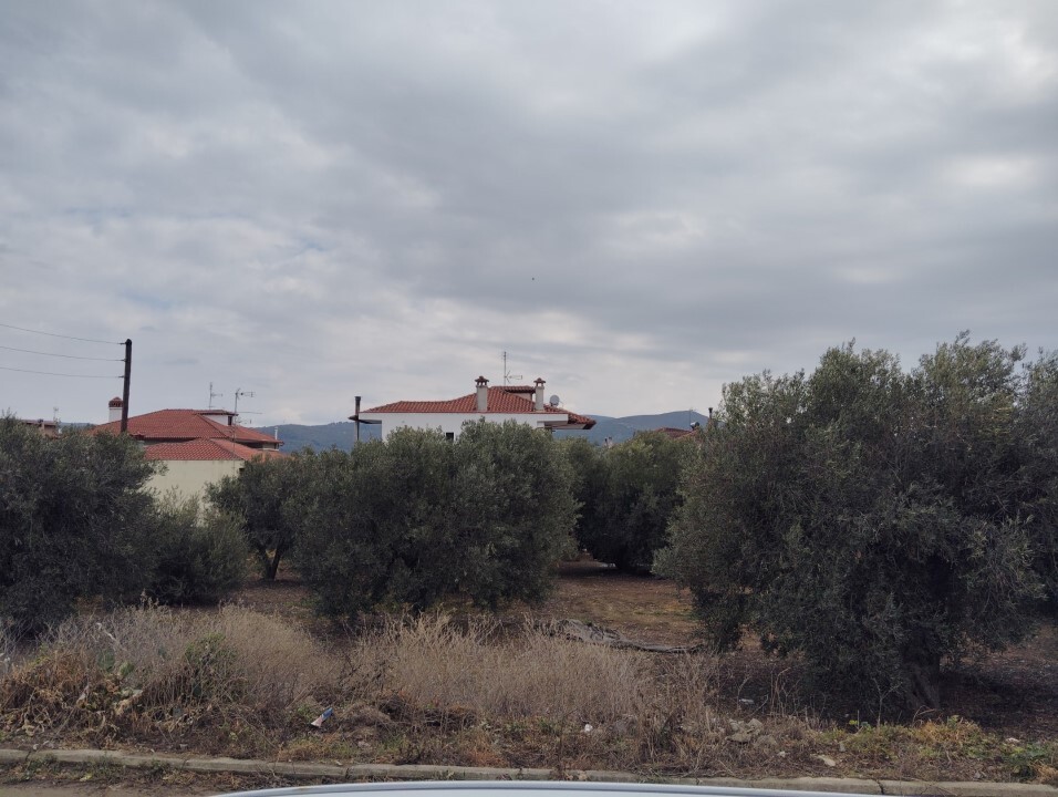 Terreno en Sitonia, Grecia, 1 305 m² - imagen 8