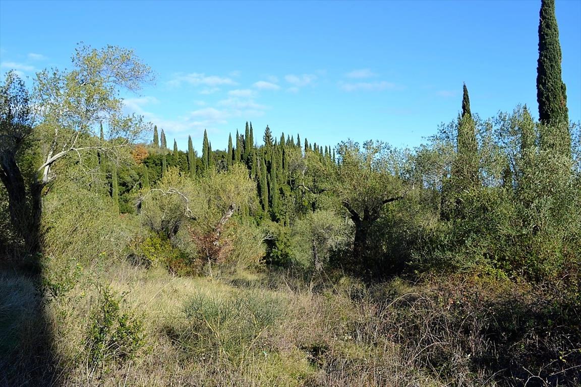 Terreno a Corfù, Grecia, 8 000 m2 - foto 8