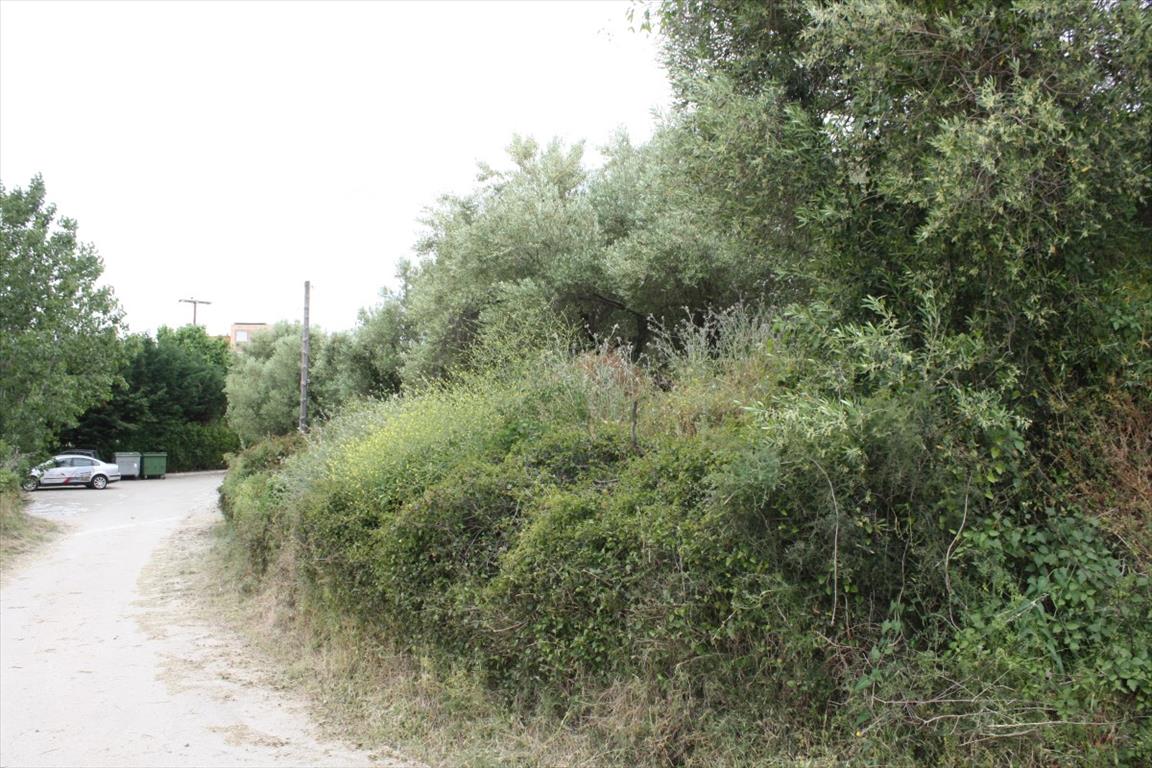 Terreno en Sitonia, Grecia, 6 000 m² - imagen 9