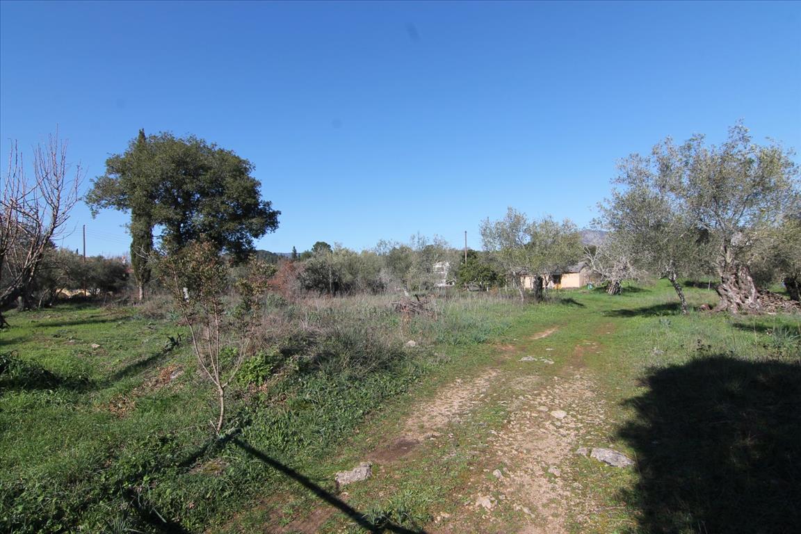 Terreno en Corfú, Grecia, 4 131 m² - imagen 9