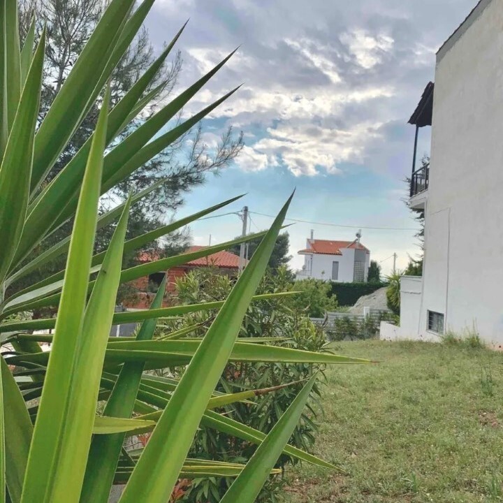 Maisonette in Sithonia, Griechenland, 120 m² - Foto 9