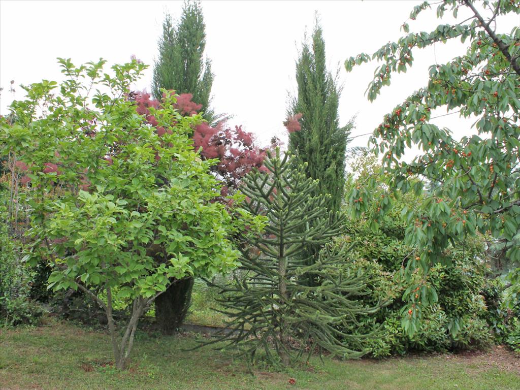 Maison à Olympiaki Akti, Grèce, 160 m² - image 9