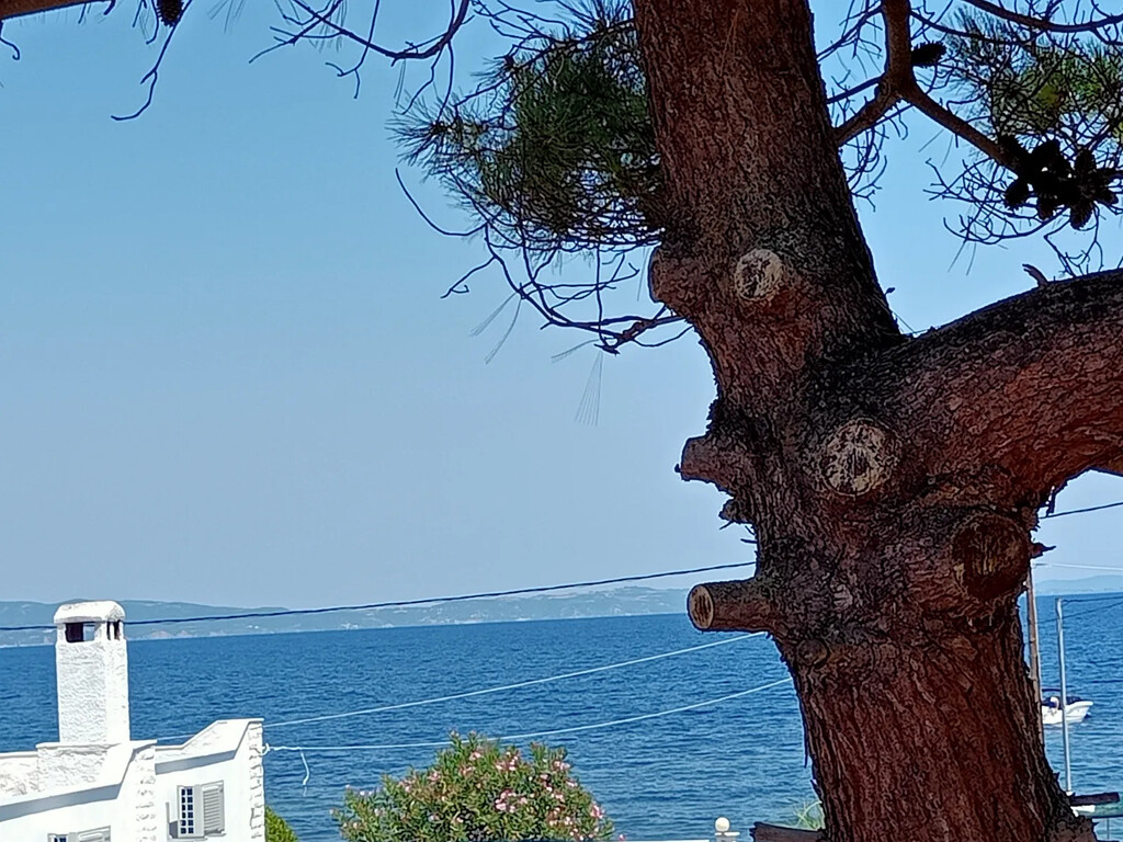 Casa en Sitonia, Grecia, 90 m² - imagen 9