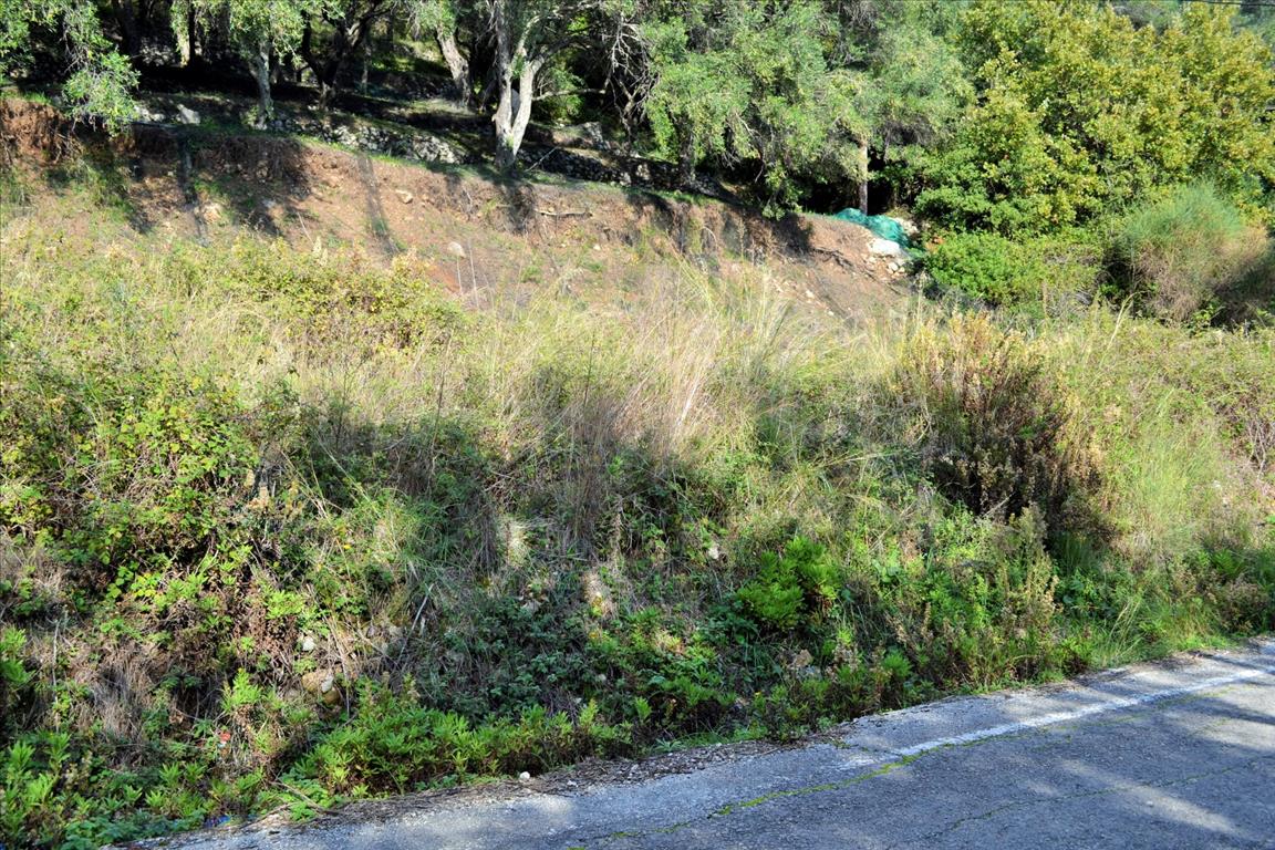 Terreno a Corfù, Grecia, 14 530 m2 - foto 9