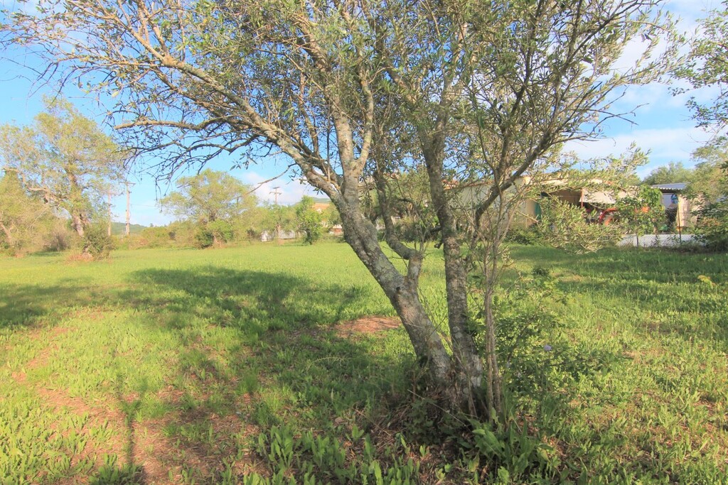 Terrain à Corfou, Grèce, 4 188 m² - image 9
