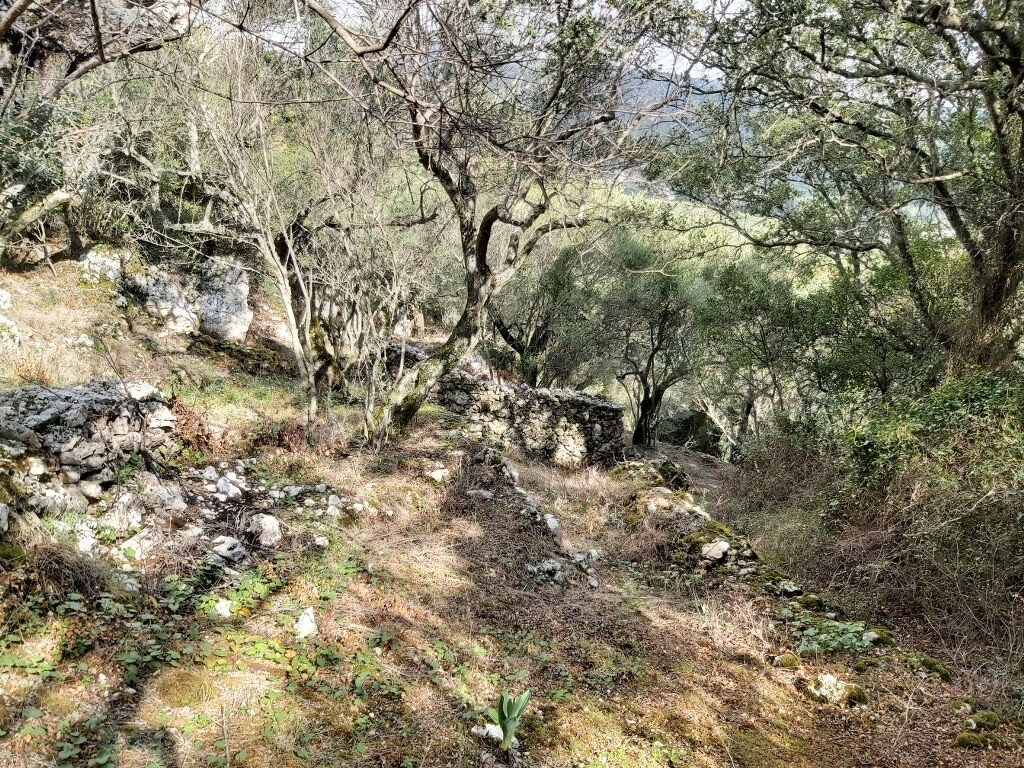 Grundstück in Korfu, Griechenland, 9 500 m² - Foto 9