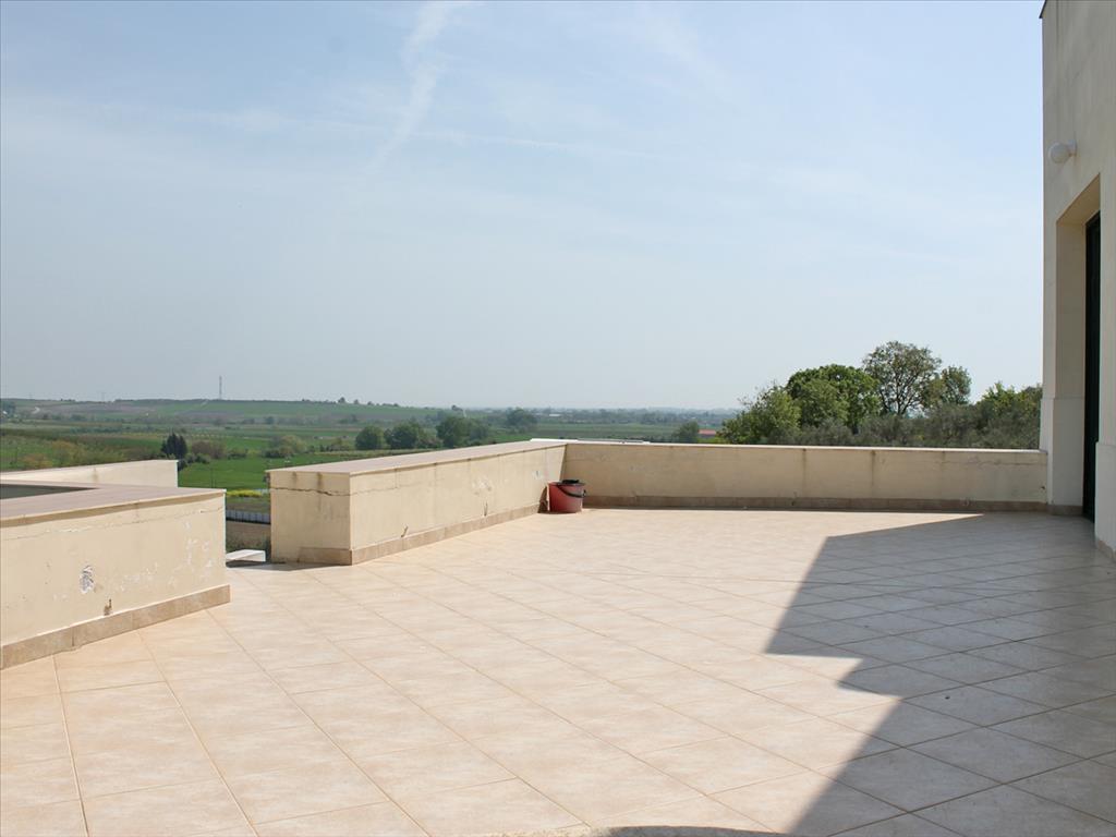 House in Olympiaki Akti, Greece, 291 m² - picture 9