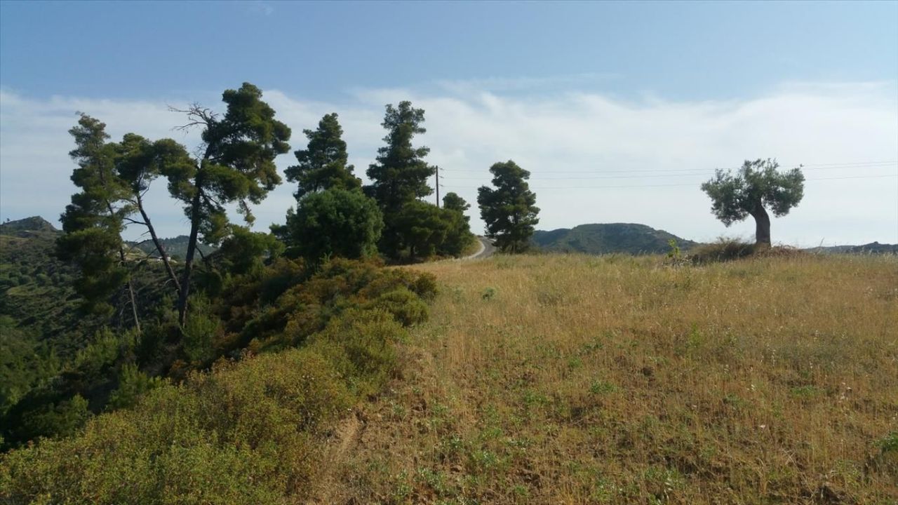 Land in Kassandra, Greece, 4 062 m² - picture 9