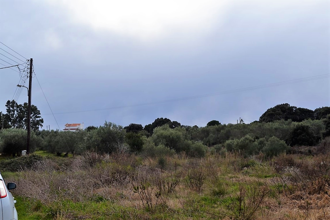 Land in Corfu, Greece, 5 500 m² - picture 9