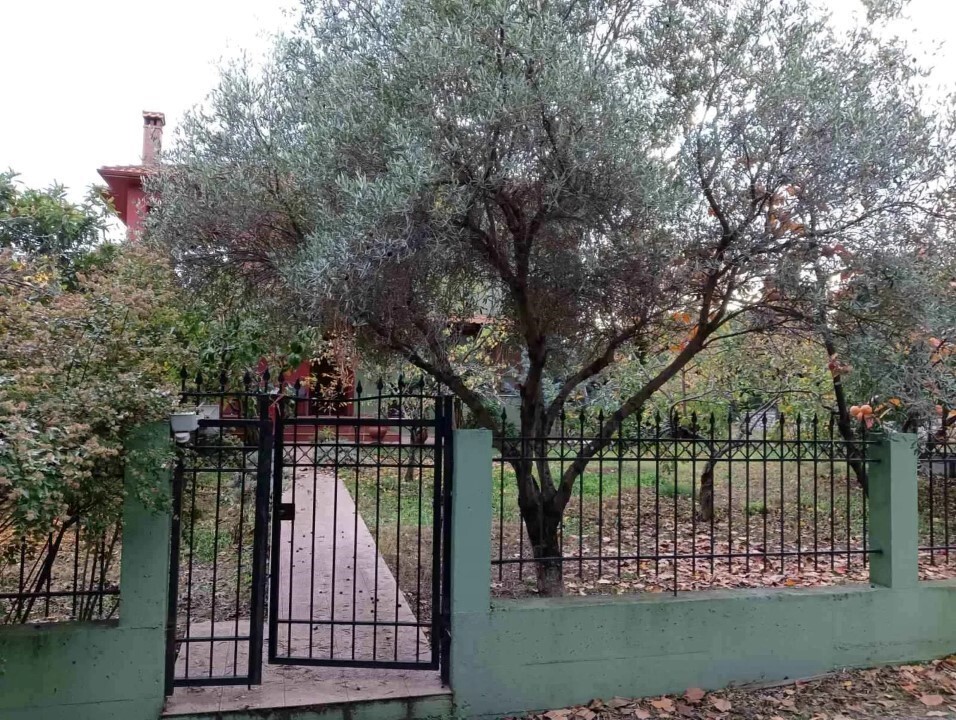 Villa in Chalkidiki, Griechenland, 300 m² - Foto 9