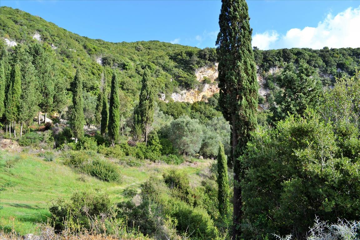 Terrain à Corfou, Grèce, 15 000 m² - image 9