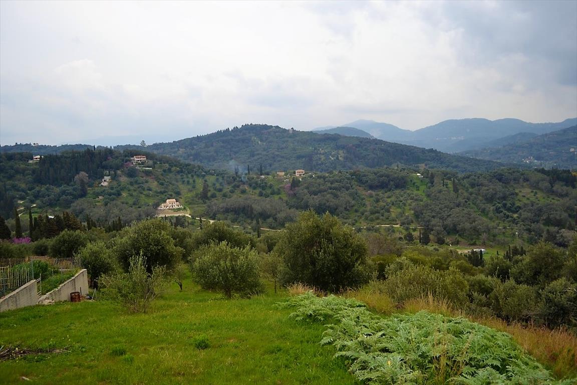 Land in Corfu, Greece, 6 000 m² - picture 9