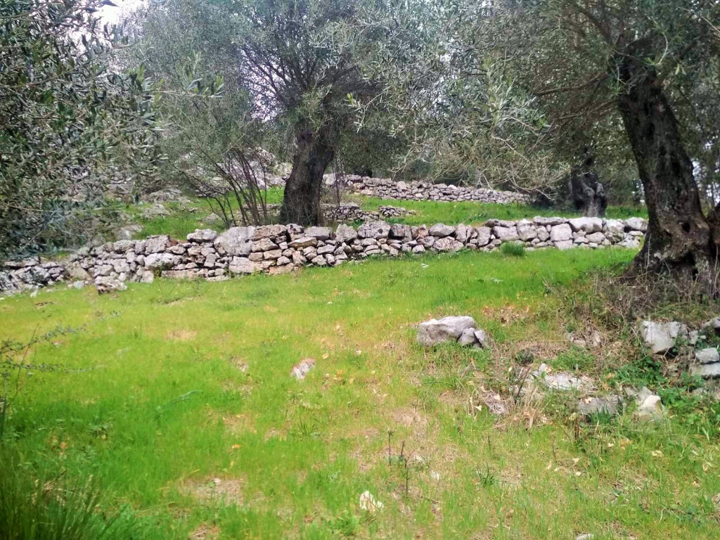 Land in Corfu, Greece, 4 363 m² - picture 9