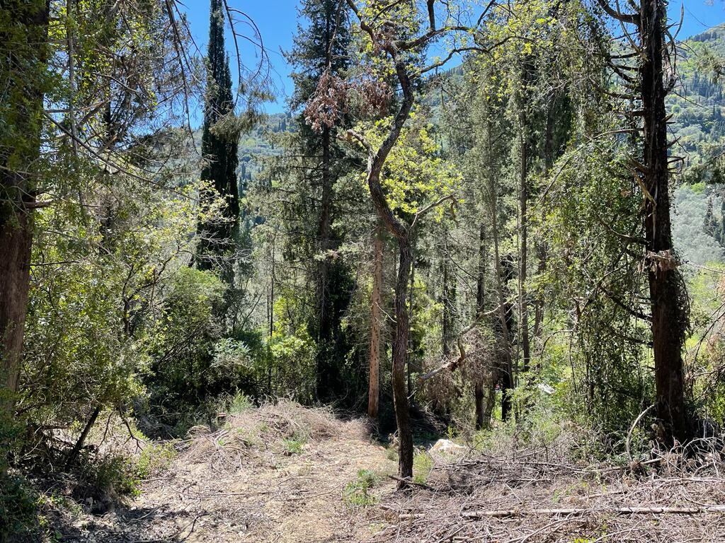 Terreno en Corfú, Grecia, 8 500 m² - imagen 9