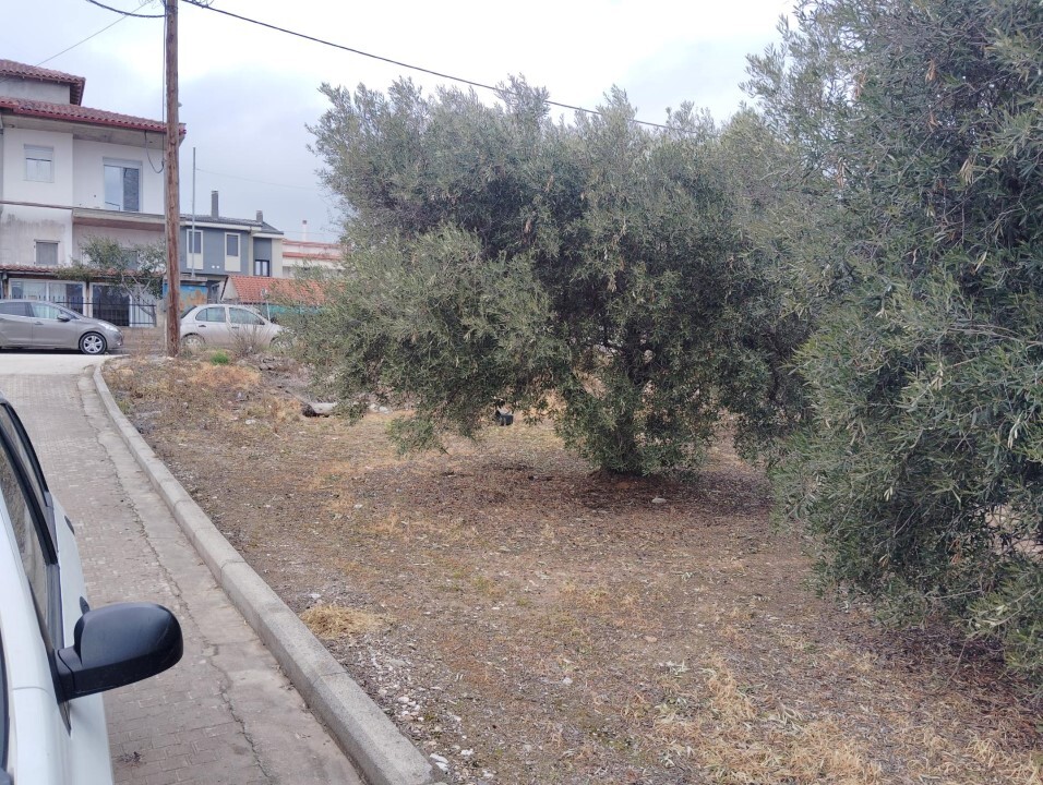 Terreno en Sitonia, Grecia, 1 305 m² - imagen 9