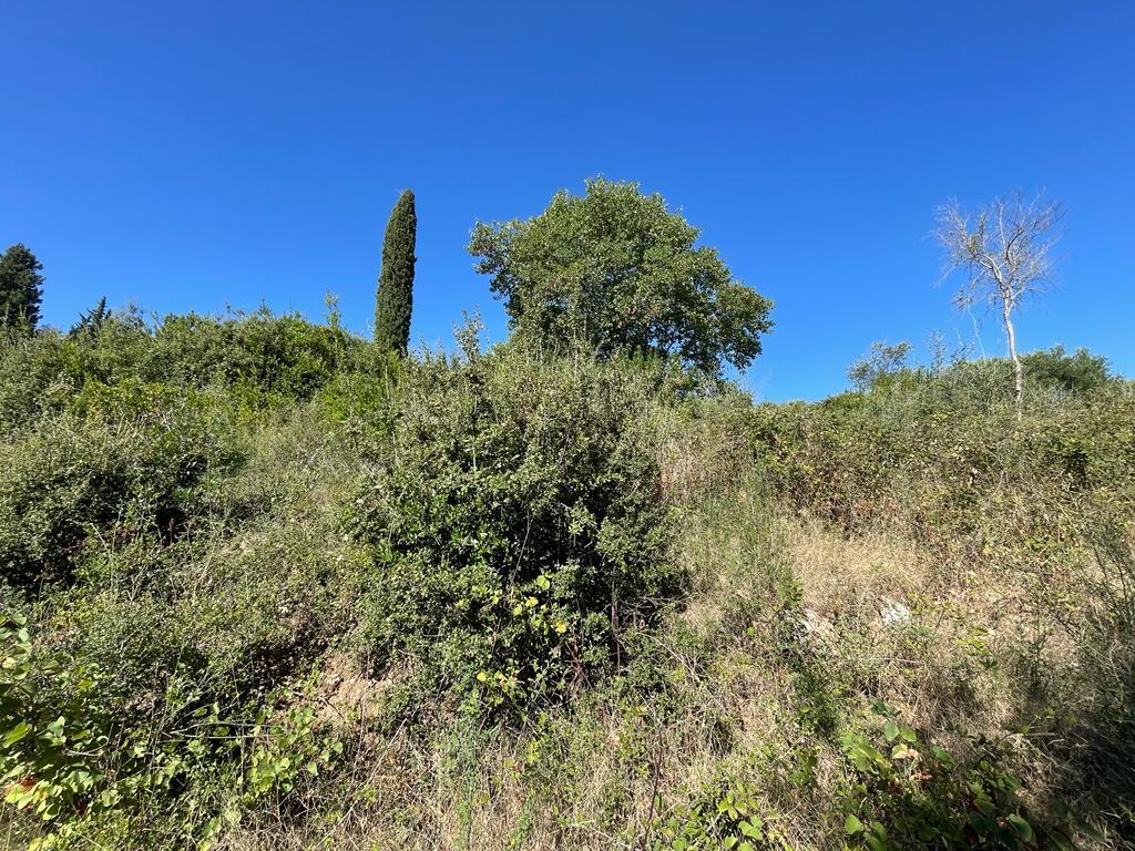 Terreno a Corfù, Grecia, 2 569 m2 - foto 9