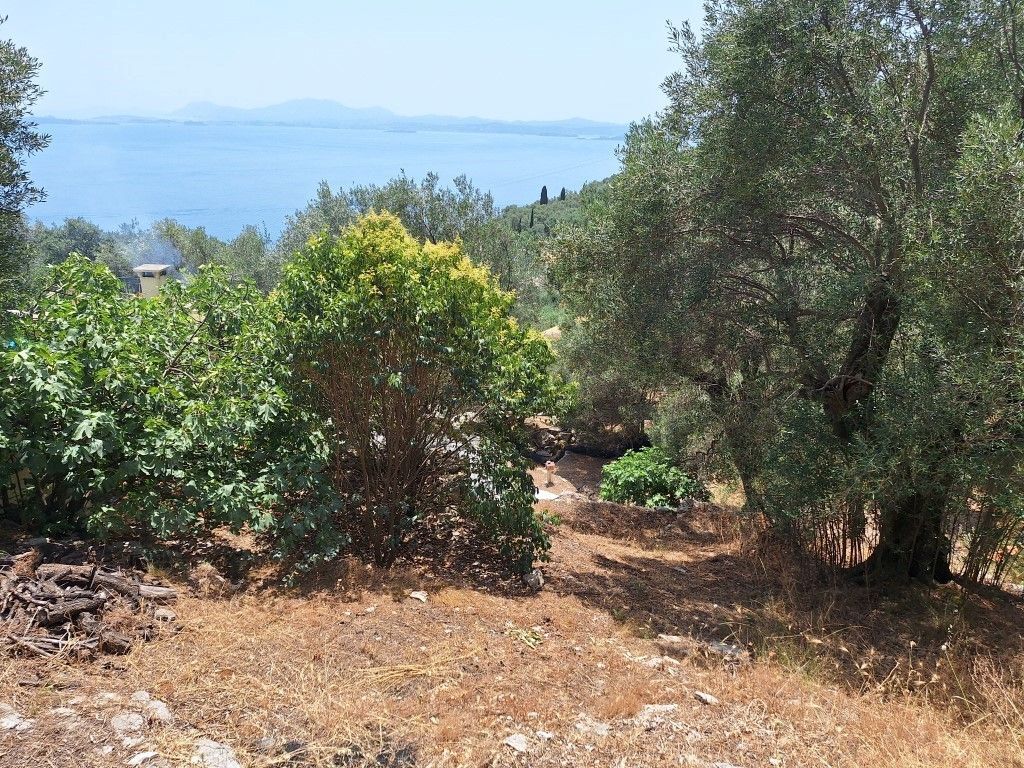 Terrain à Corfou, Grèce, 6 000 m² - image 9