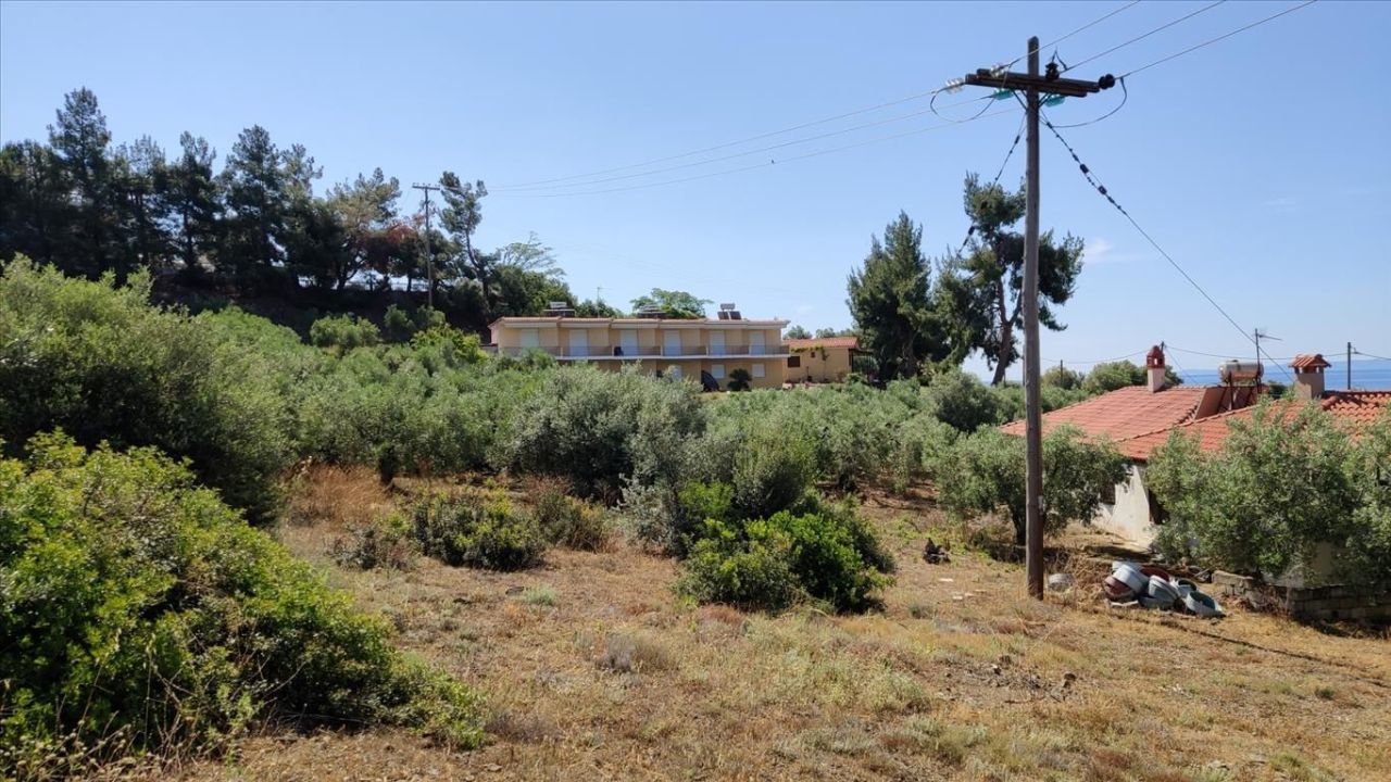 Land in Sithonia, Greece, 13 750 m² - picture 9