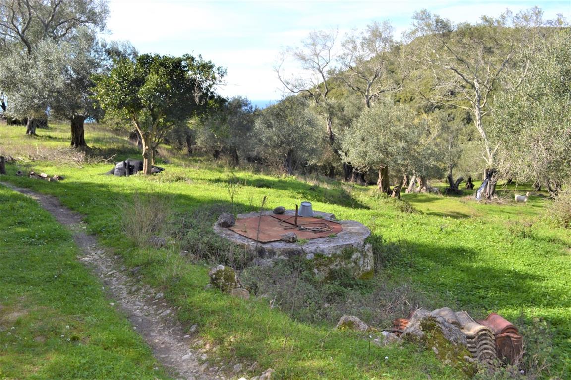 Terrain à Corfou, Grèce, 70 000 m² - image 9