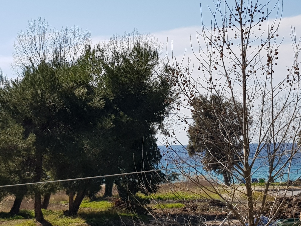 Maisonette en Kassandra, Grecia, 60 m² - imagen 9