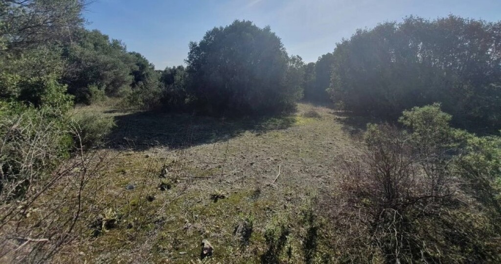 Land in Sithonia, Greece, 23 000 m² - picture 9