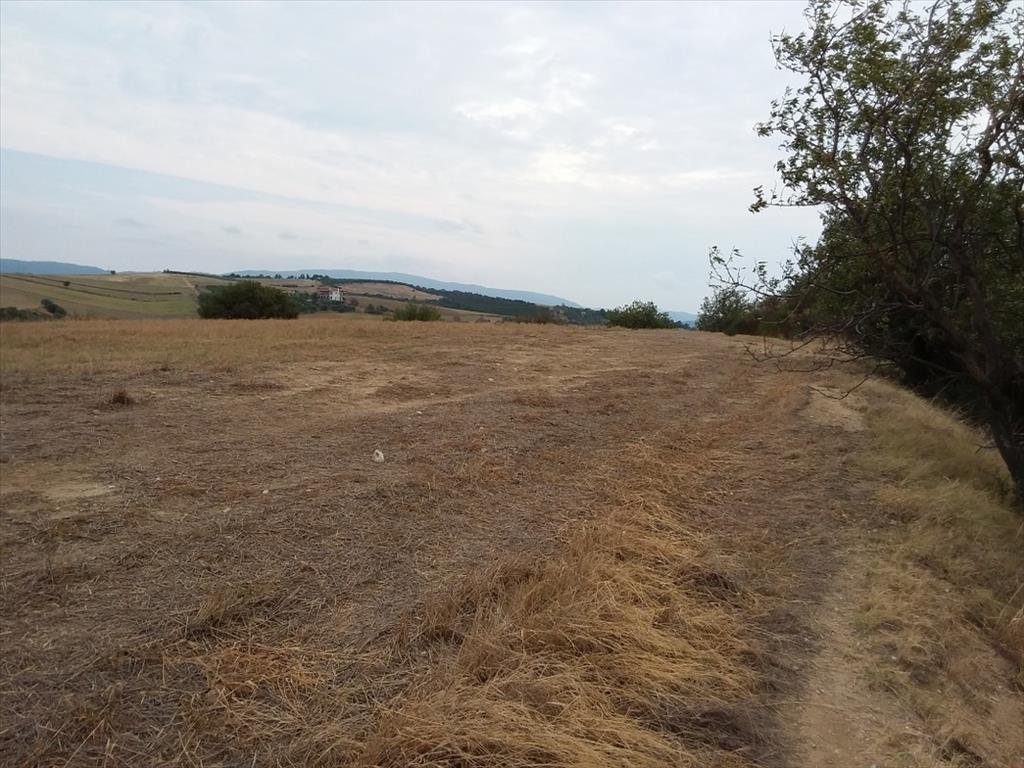 Grundstück in Chalkidiki, Griechenland, 13 000 m² - Foto 9