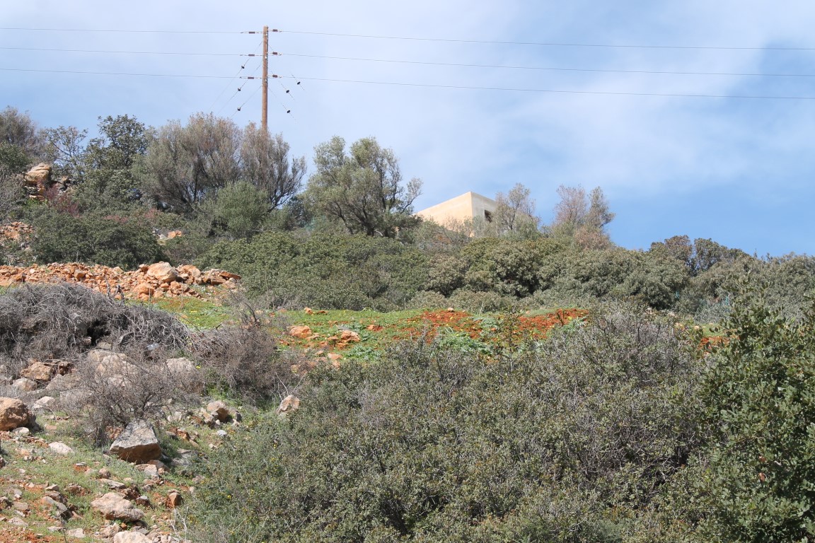 Land in Heraklion, Greece, 1 770 m² - picture 9