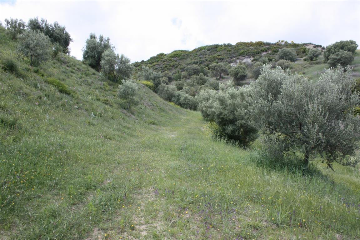 Terreno a Kassandra, Grecia, 23 000 m2 - foto 9
