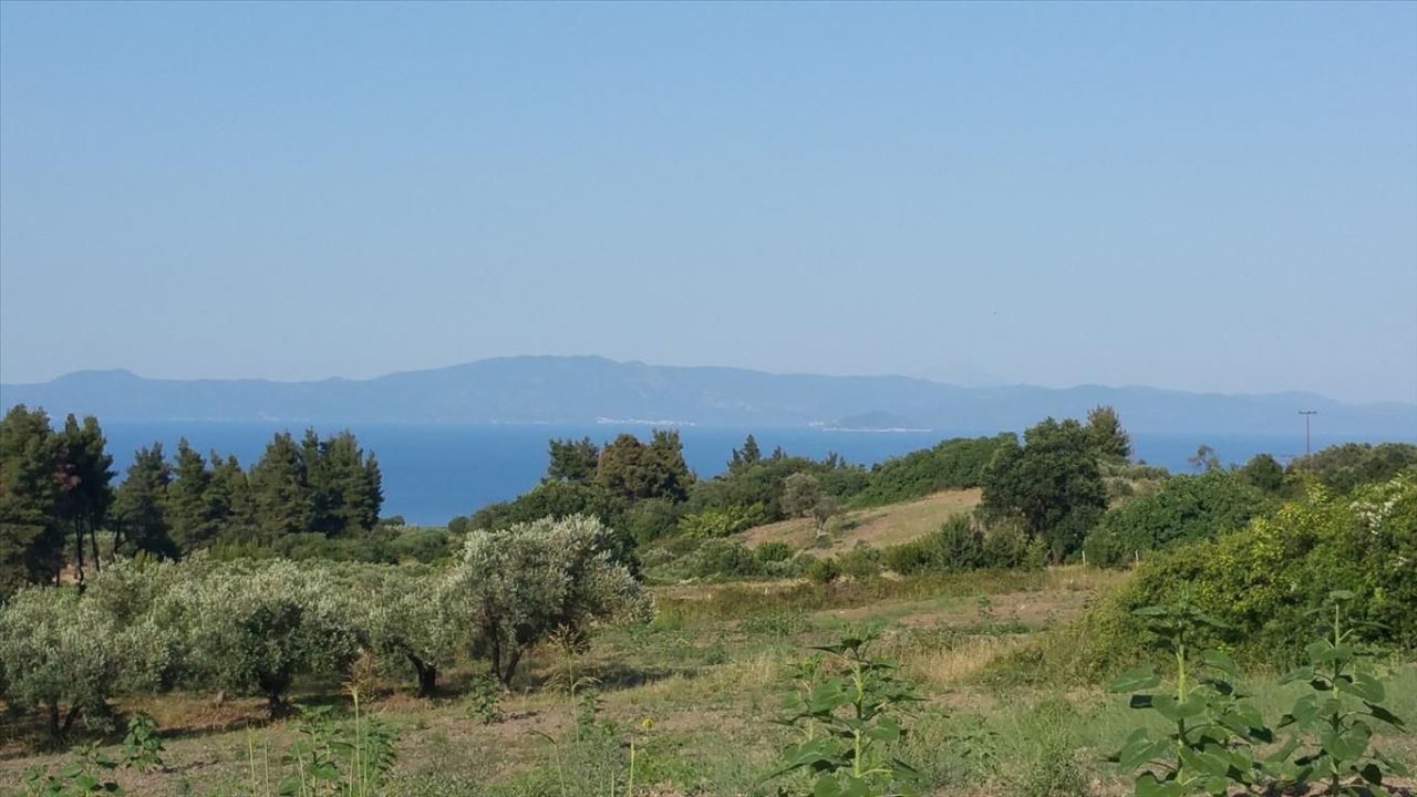 Land in Kassandra, Greece, 14 625 m² - picture 9