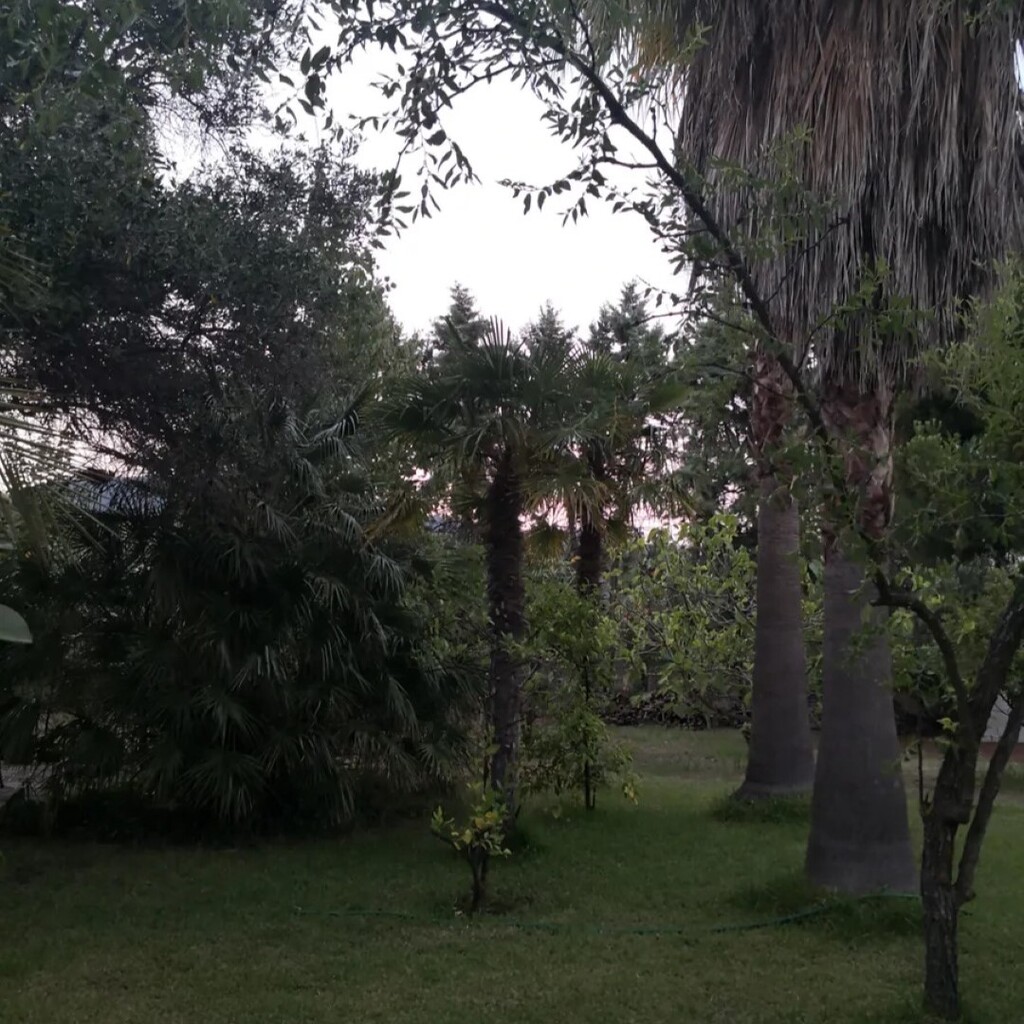 Villa in Sithonia, Griechenland, 175 m² - Foto 9