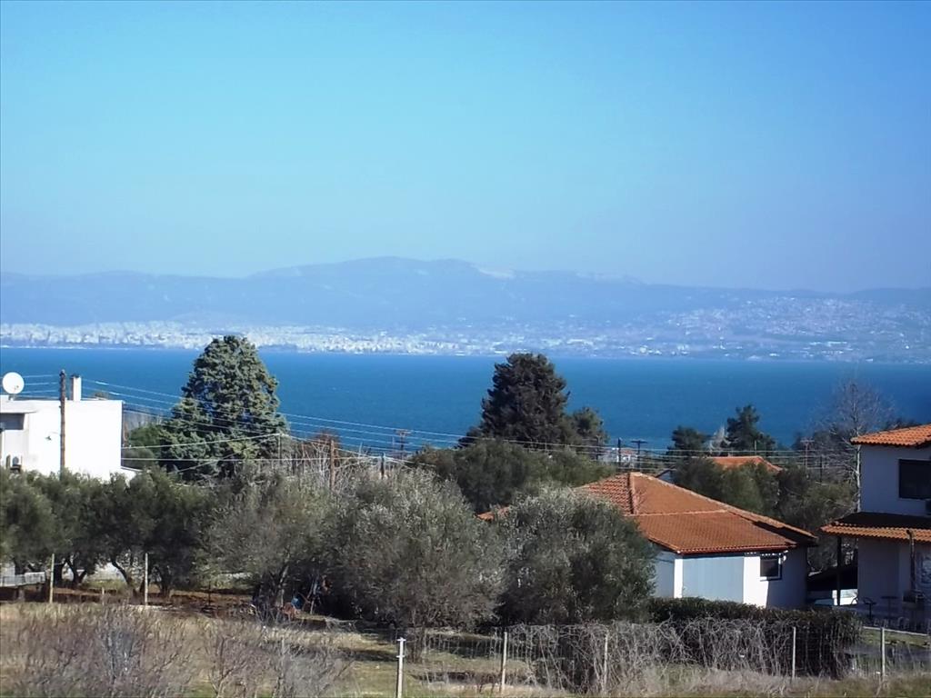 House in Thessaloniki, Greece, 333 m² - picture 9