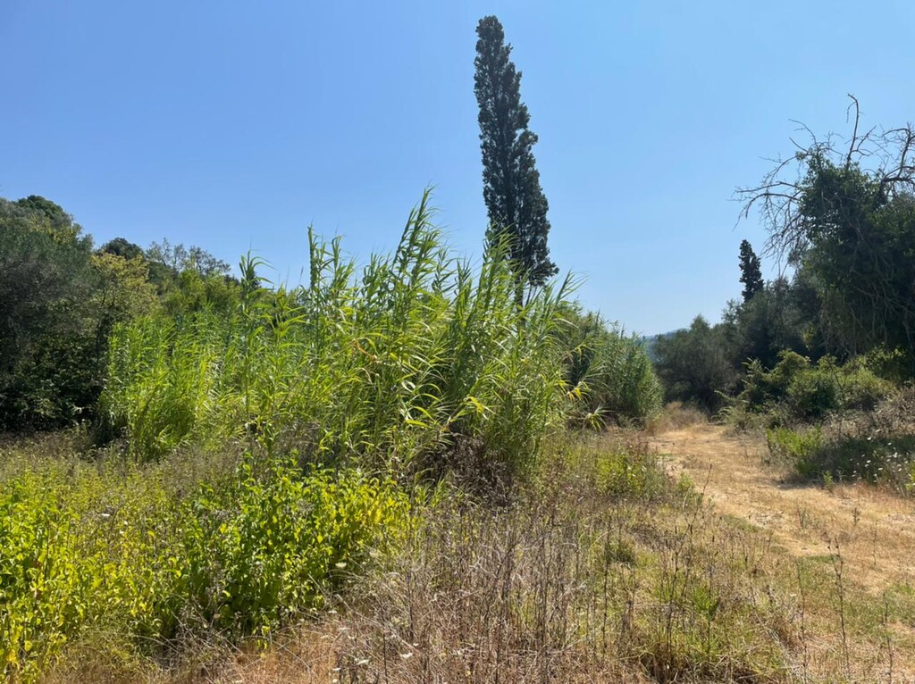 Grundstück in Korfu, Griechenland, 11 450 m² - Foto 9