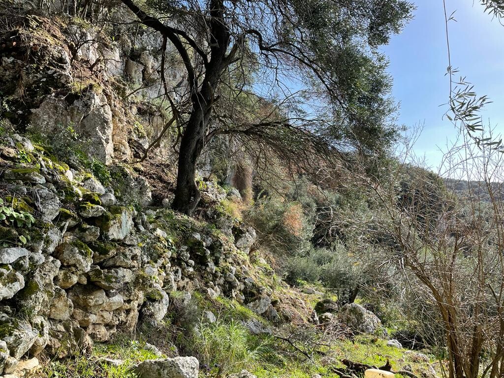Terreno a Corfù, Grecia, 6 260 m2 - foto 9