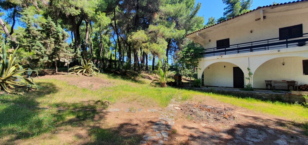 Villa in Kassandra, Griechenland, 440 m² - Foto 9