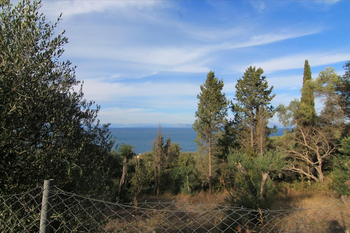 Land in Corfu, Greece, 2 306 m² - picture 9