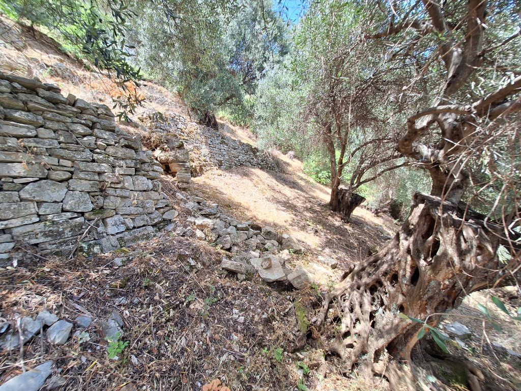 Terrain à Corfou, Grèce, 2 100 m² - image 9