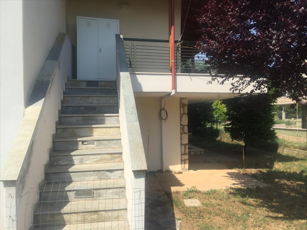 House in Chalkidiki, Greece, 180 m² - picture 9