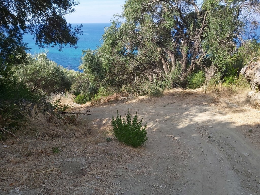 Terreno a Corfù, Grecia, 8 600 m2 - foto 9