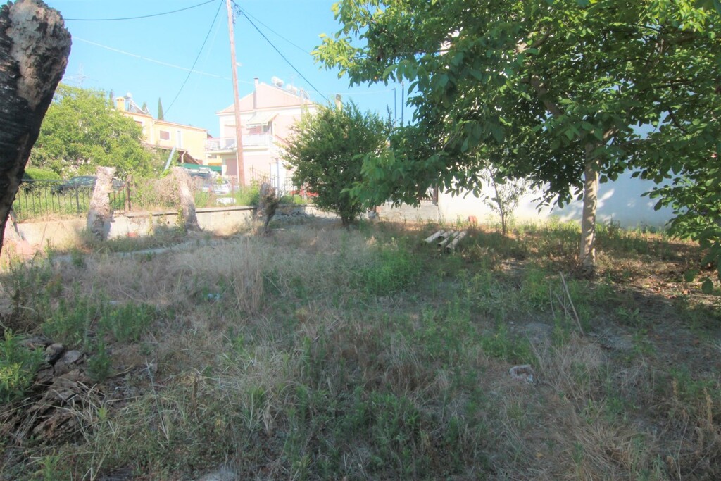 Land in Corfu, Greece, 1 342 m² - picture 9